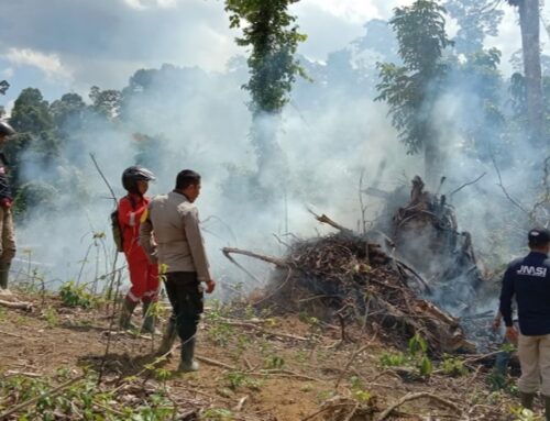 Upaya Pengamanan Hutan dari Aksi Pembakaran