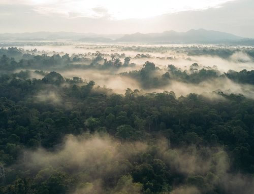 REQUEST FOR PROPOSAL: KONSULTAN PERSETUJUAN TEKNIS PEMENUHAN BAKU MUTU AIR LIMBAH DAN RINCIAN TEKNIS PENYIMPANAN LIMBAH B3 PT ALAM BUKIT TIGAPULUH 2026